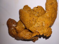 Deshi Boy New Poop Shit Scat Fun